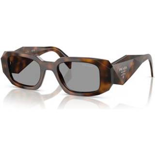 Prada Kvinde PR 17WS 20D50Q Solbriller Acetat Havana Grå Firkantet Normal