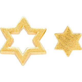 Family Star Øreringe - Guld