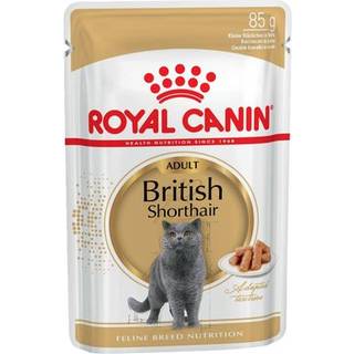 Royal Canin British Shorthair Adult Gravy vådfoder til kat 12x85 g