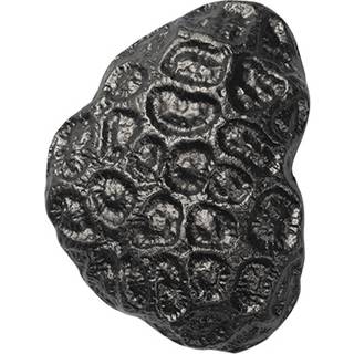 Comber Coral Hook - Blackened Aluminium