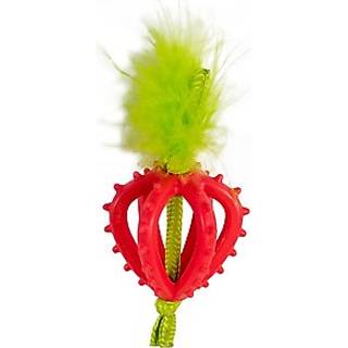 Catstages Dental Strawberry Biring Bld og tekstureret Kattetyggetj Kattenip Oliecoating Pink