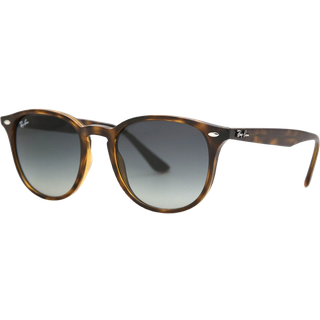 Ray - Ban Unisex RB4259 710/11 Solbriller Injiceret Skildpadde Grå Pantos Normal Skygge