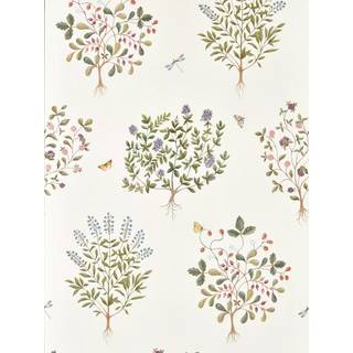 Thyme Walk Damson/Quince - DHIP217509
