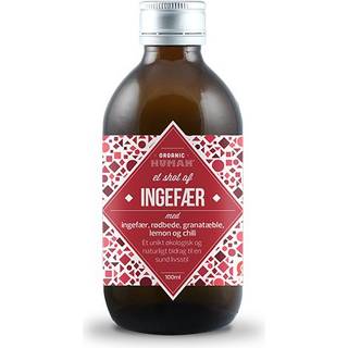 HUMAN Ginger shot Ø - 90 ml.