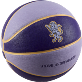 LeBron All-Court 8P-basketball (ikke oppustet) - lilla - 7