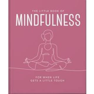 The Little Book of Mindfulness