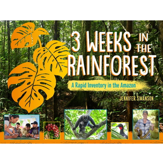 3 Weeks in the Rainforest