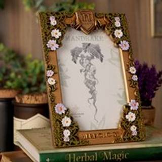 HARRY POTTER - Herbology - 3D Photo Frame