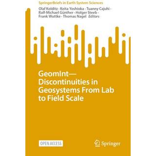 GeomInt—Discontinuities in Geosystems From Lab to Field Scale