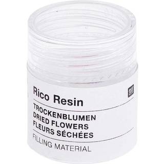 Füllmaterial Trockenblumen Rosa