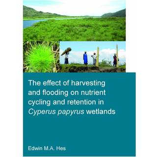 The effect of harvesting and flooding on nutrient cycling and retention in Cyperus papyrus wetlands