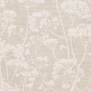 Albany Wallpaper Cowparsley 204901