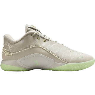 LeBron XXII-basketballsko - grå - 43