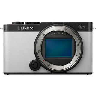 Panasonic Lumix DC-S9 smokey white