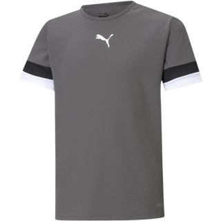 Puma Drenge TeamRISE Træningstrøje Smoked Pearl / Puma Sort / Puma Hvid