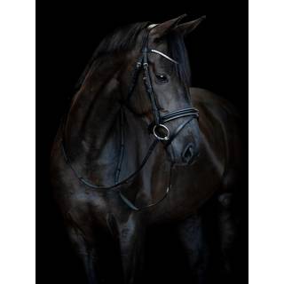 HorseGuard Emi 25.1 Trense - SHETLAND