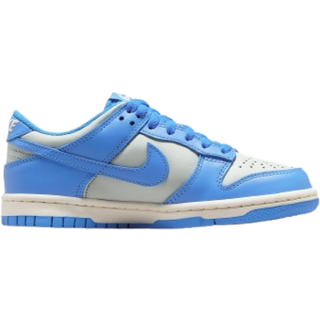 Nike Dunk Low-sko til større børn - grå - 37.5