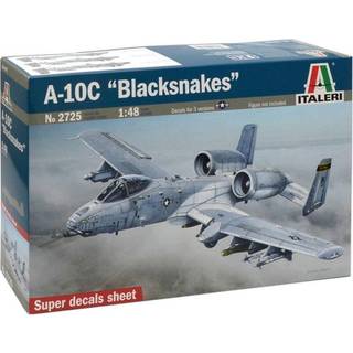 1:48 A-10C 'Blacksnakes'
