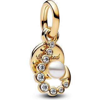 Pandora Charm - Sonnenaufgang Medaillon - 763891C01 - gold