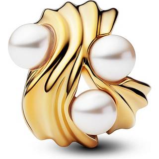 Pandora Charm - 763915C01 - gold