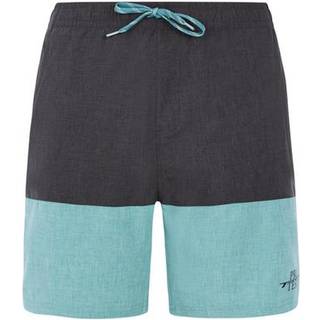 Protest PRTFreddie Boardshorts Herrer størrelse S farve grå