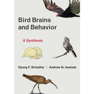 Bird Brains and Behavior