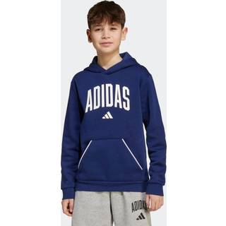 adidas Blue Essentials Collegiate Hoodie Kids