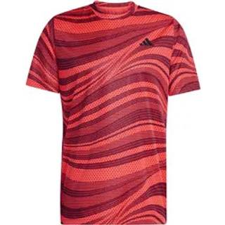 adidas Club Graph Tee M JE0407 - L (183cm)