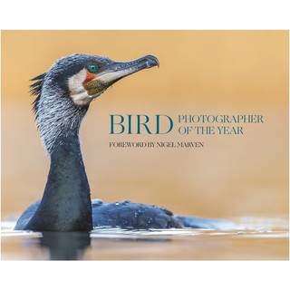Bird Photographer of the Year