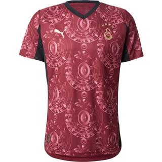 PUMA Galatasaray SK 25/26 Third Jersey Men, Sport, Regal Red/Gold, M