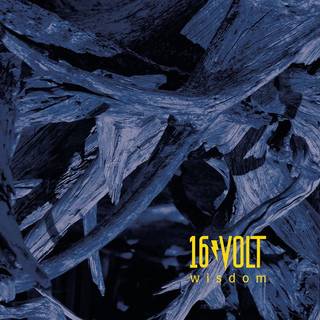 16volt - Wisdom [limited Edition Yellow Vinyl]