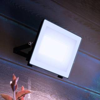 Philips udendørs LED-spot Lois UE flood, 24 W, 5.000 K, IP65