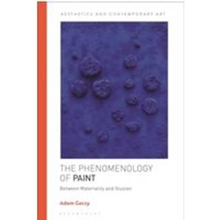The Phenomenology of Paint