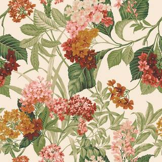 Albany Wallpaper Misake 2322