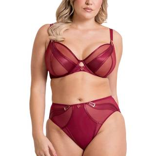 Curvy Kate Curvy Kate Red Scantilly Suspense High Waist Knickers