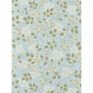 Silver Lime Mineral/Gooseberry - DHIP217517