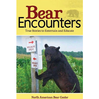 Bear Encounters