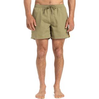 Quiksilver Herren Badeshorts grün