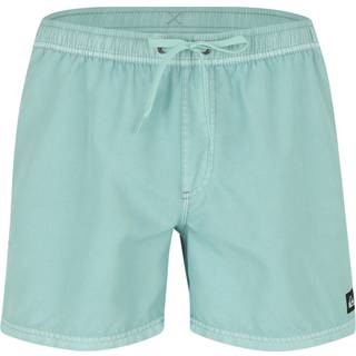 Quiksilver Everyday Surfwash Volley 15 Boardshorts Herrer størrelse M farve turkis