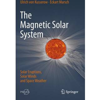 The Magnetic Solar System