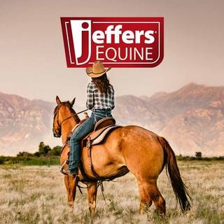 Jeffers Equine Brightening Blue Shampoo til heste 32 oz - Enhanced Whitening & Stain Remover Coconut Oil Aloe Gentle Grooming Detergent - Free En