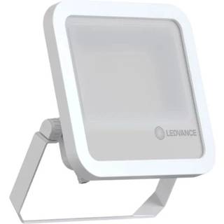 Ledvance Flood pfm 69w/840 hvid