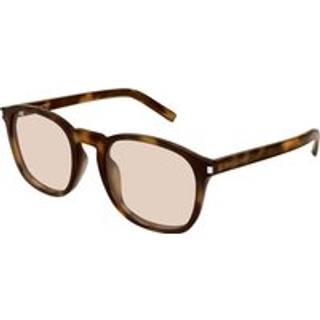 SAINT LAURENT Kvinde SL 818 004 Solbriller Acetat Havana Rund