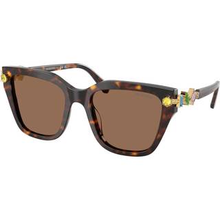 Swarovski Kvinde SK6041 100273 Solbriller Acetat Skildpadde Brun Geometrisk Normal