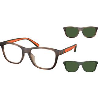 Polo Ralph Lauren Mand PH4228U 607071 Solbriller Injiceret Skildpadde Grøn Firkantet Normal