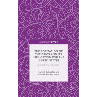 The Formation of the BRICS and its Implication for the United States