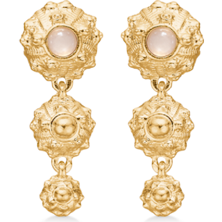 Studio Z Urchin Elegance øreringe i forgyldt med rosa cubic zirkonia
