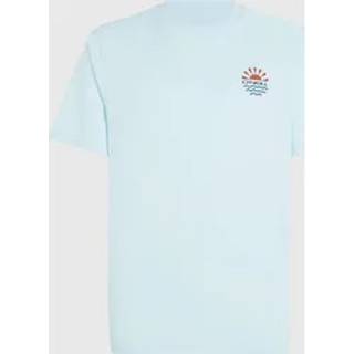 O'Neill Global T-Shirt T-shirt Herrer størrelse XL farve grå
