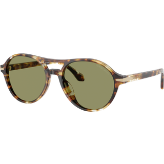 Giorgio Armani Mand AR8236U 623214 Solbriller Acetat Skildpadde Grøn Rund Normal