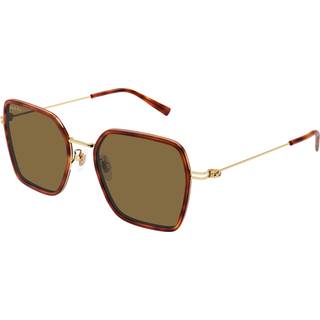 Gucci Kvinde GG1850SA 002 Solbriller Injiceret Havana Brun Firkantet